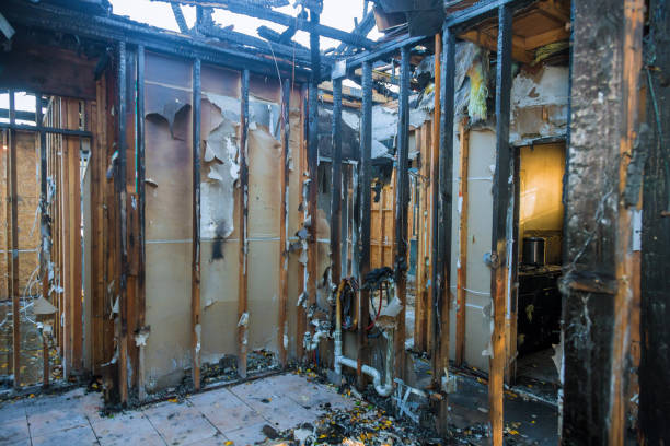 Professional Fire Damage Removal technician working in Osceola, WI
